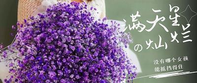关于青春梦想的句子(20句)