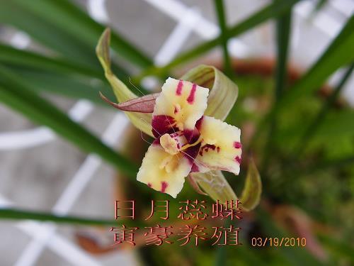 风雨不改