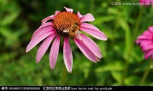 对亲情特别失望的句子