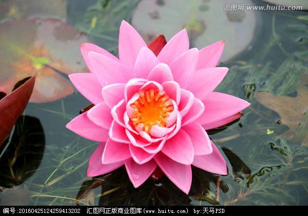 一举两得