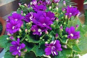 收到孩子礼物心情说说23句