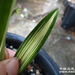 地阔天长