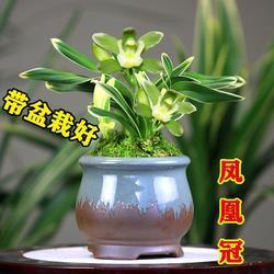 拾人唾余