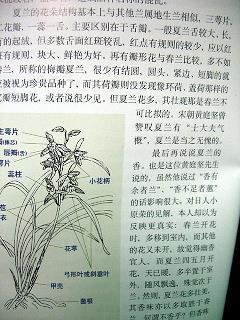 冲锋陷阵