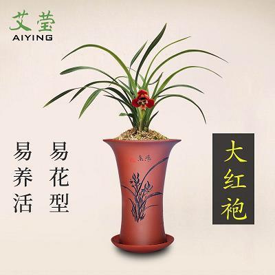 清水无大鱼