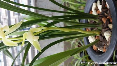 温良忍让