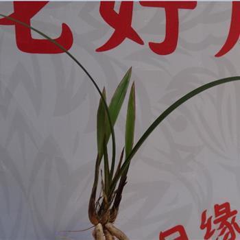 革新变旧