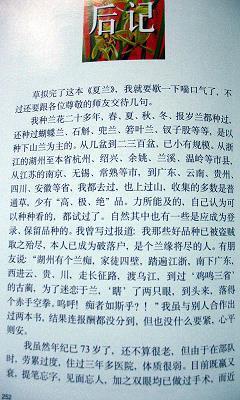 以胶投漆