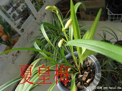 得道多助