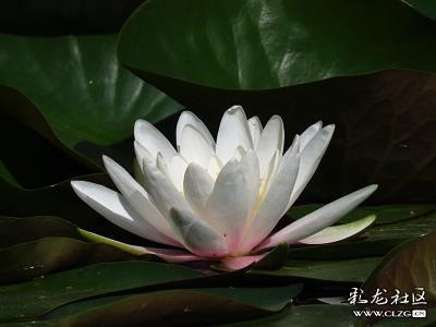 五方杂处