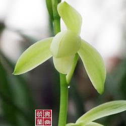 不见棺材不落泪