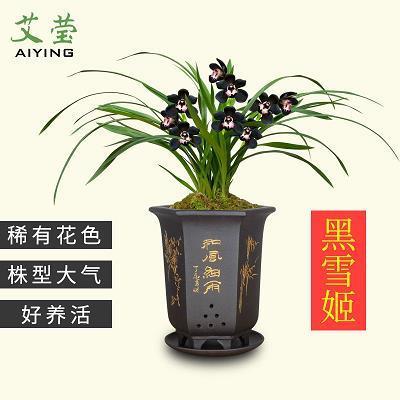管仲随马
