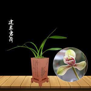 德薄才疏