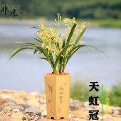 直朴无华