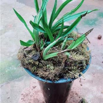 茫无涯际