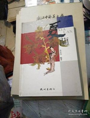 龙荒朔漠