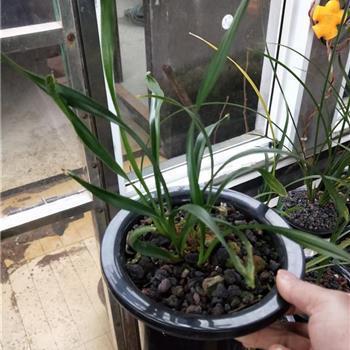 旁枝末节