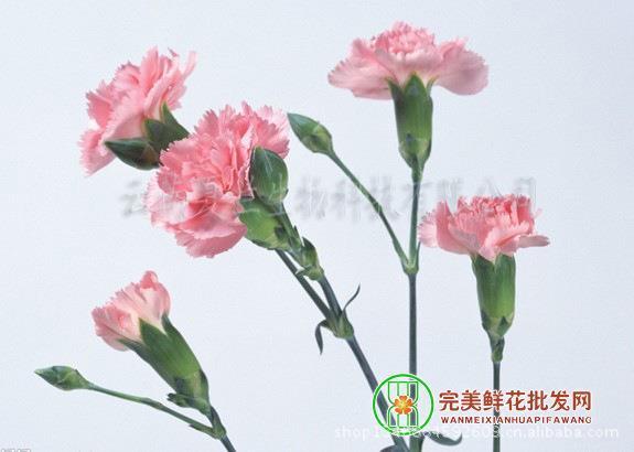 林下风度
