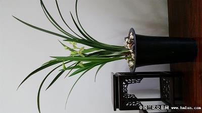 烟霏雾集