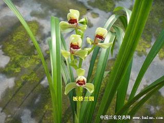 间不容瞚