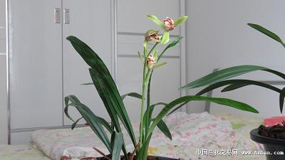 片接寸附