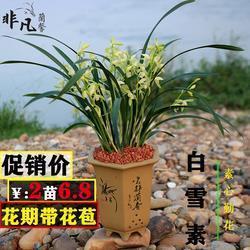 合家欢