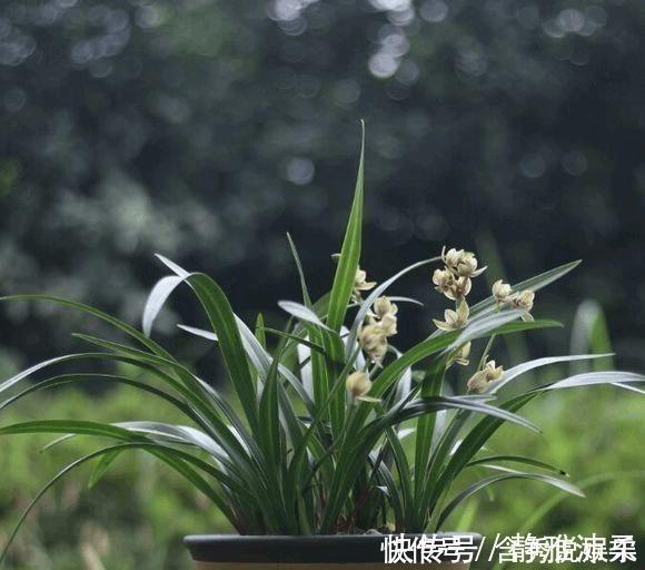 牛童马走