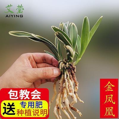 功不补患