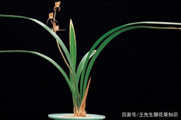 闻风远遁