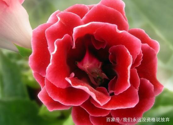 潜休隐德
