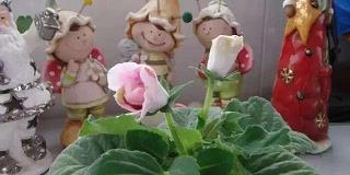 江河行地