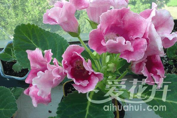学海无涯