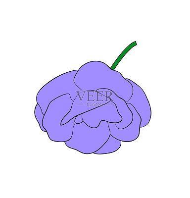不可胜纪
