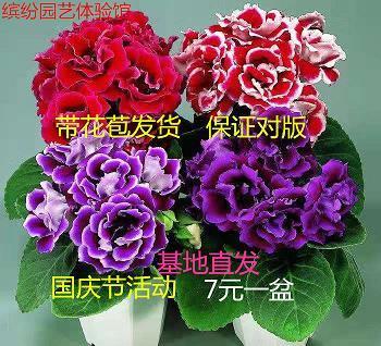 街谈巷谚