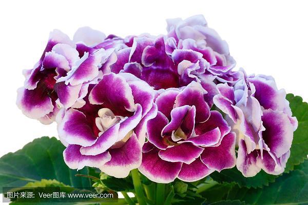 画龙点晴
