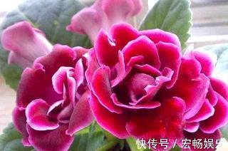月锻季炼