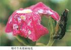回忆让我苍白的分手个性签名(49句)