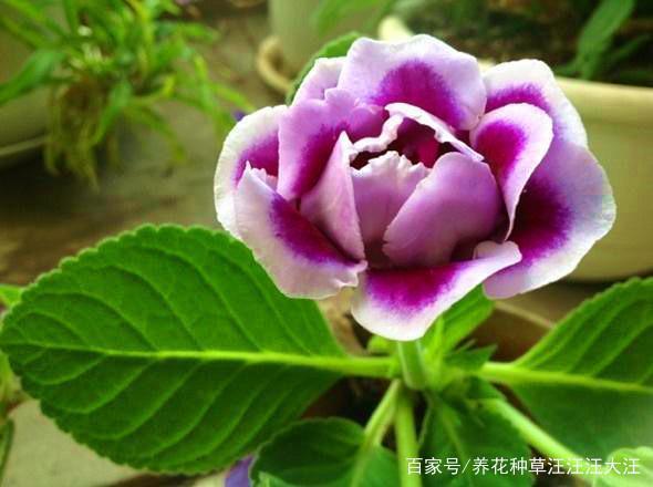 力不能及