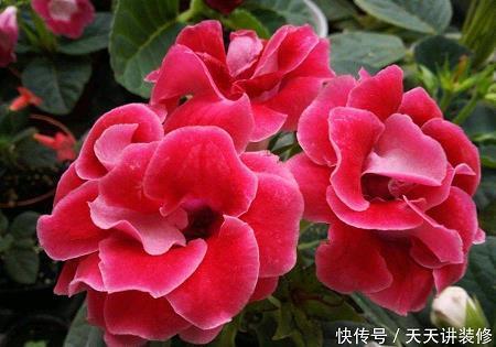 自矜功伐