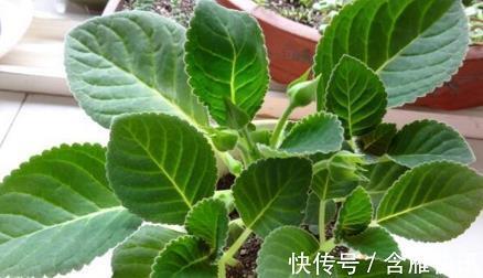 与时浮沉