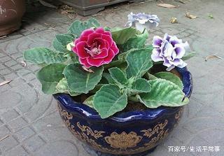 说好说歹