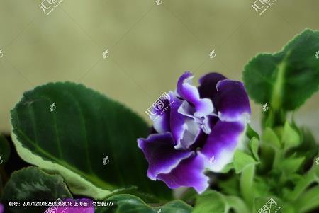 绝域殊方