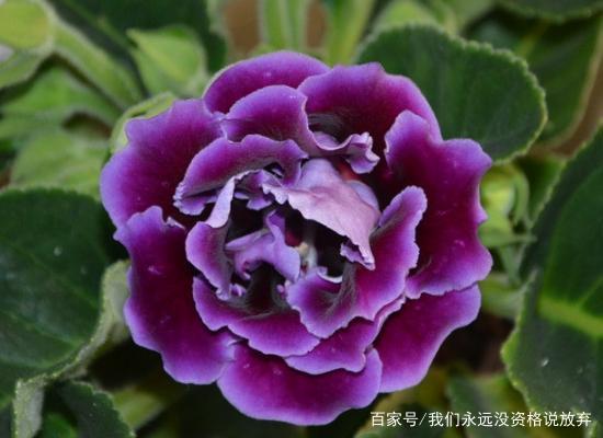 攘来熙往