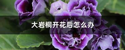 心情低落说说发朋友圈简短