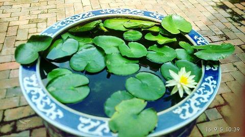 浩浩汤汤