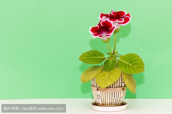 形孤影只
