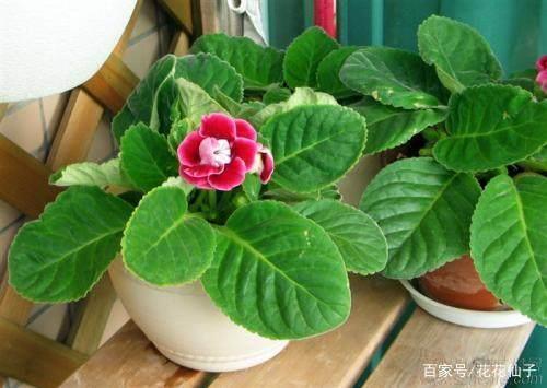 砸锅卖铁