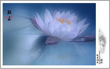 曝背食芹