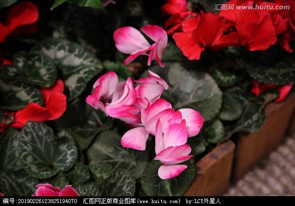 删繁就简