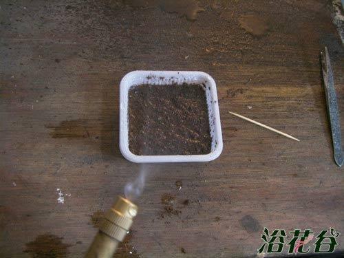 拒之门外